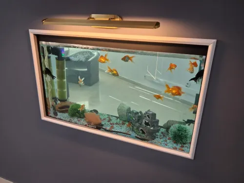 Conception d'aquariums, équipements, accessoires, poissons et entretien