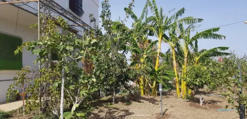 Vente Villa Skikda Beni oulbane