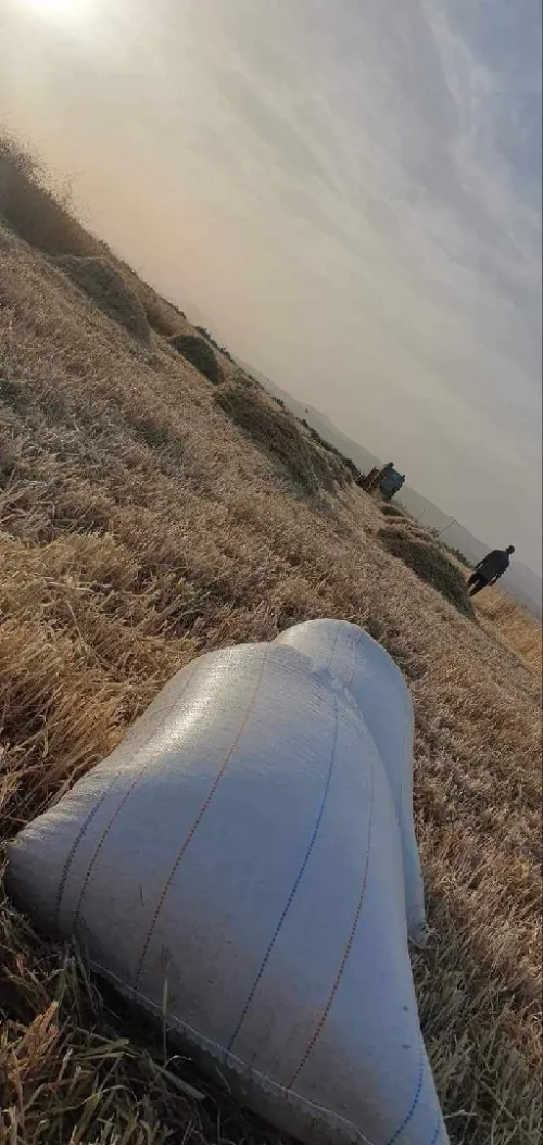 Vente Terrain Agricole Tébessa Bekkaria 