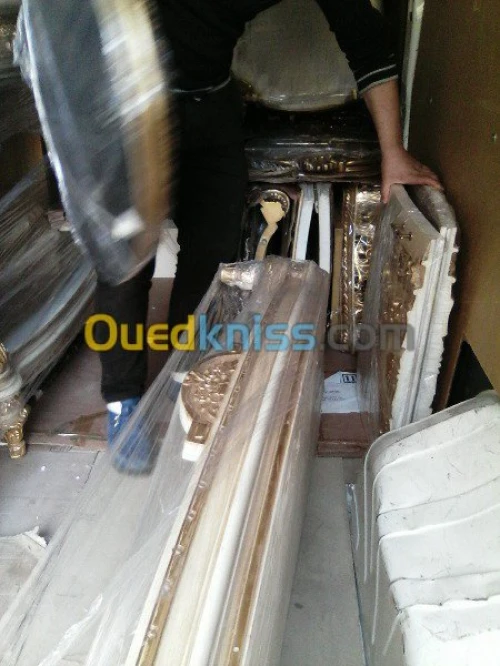 DEMENAGEMENT /TRANSPORT /MANUTENTION R