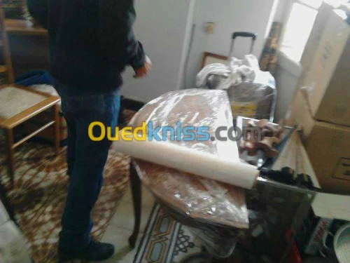 DEMENAGEMENT /TRANSPORT /MANUTENTION R