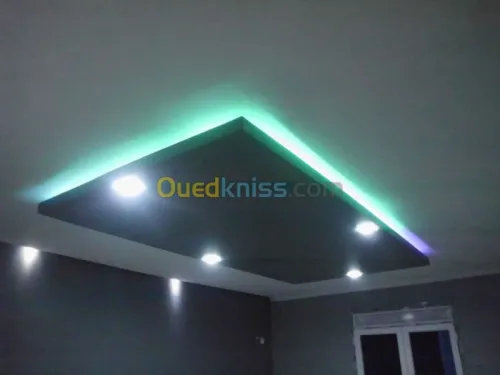 Tous travaux de Placoplatre