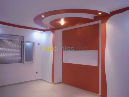 Tous travaux de Placoplatre