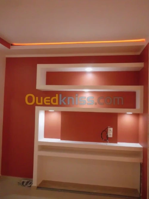 Tous travaux de Placoplatre