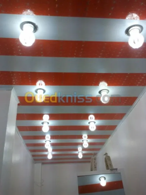 -Rideau électrique 