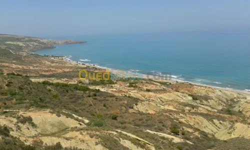 Vente Terrain Oran Oran