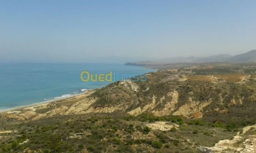 Vente Terrain Oran Oran