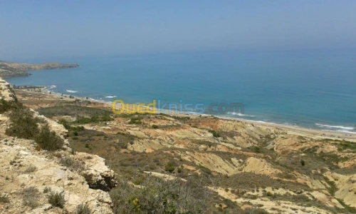 Vente Terrain Oran Oran