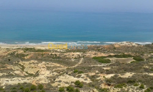 Vente Terrain Oran Oran