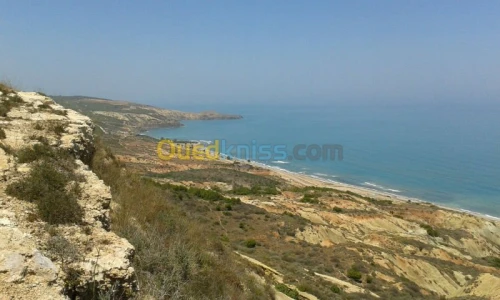 Vente Terrain Oran Oran
