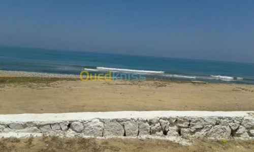 Vente Terrain Oran Oran