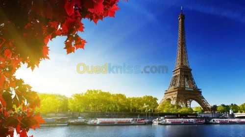 langues