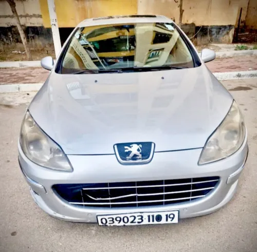 Peugeot 407 2010 407