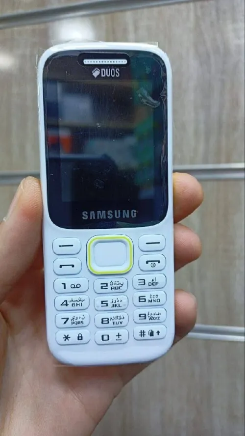 Samsung B310e