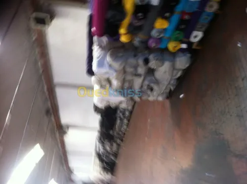 import - tissu- moquette - habillement