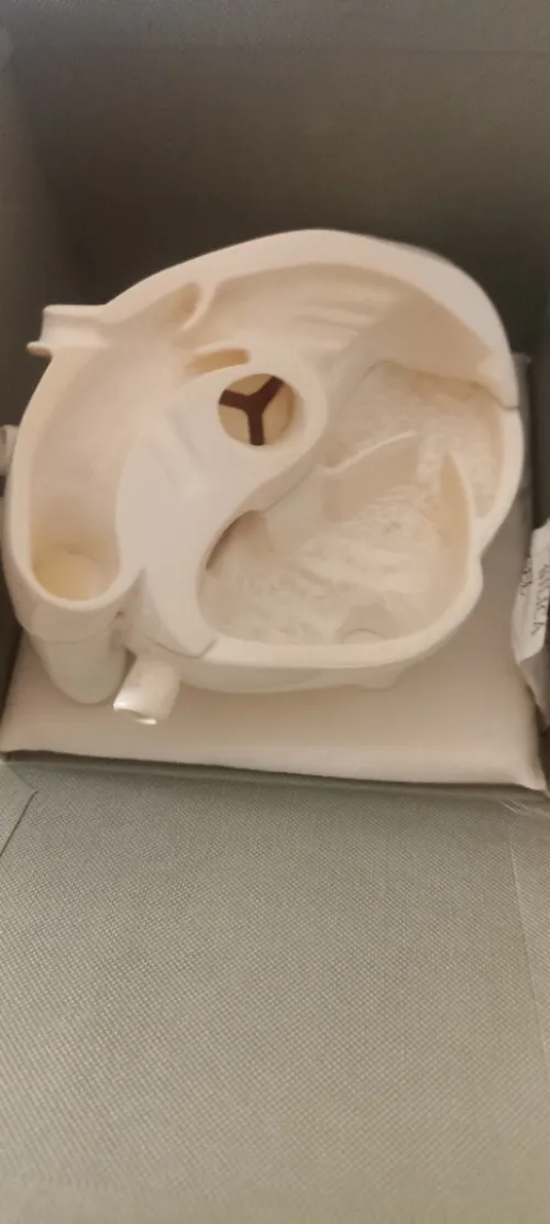 Modèle 3d