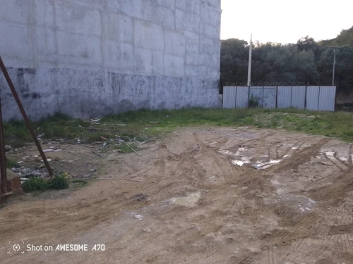 Vente Terrain Tipaza Kolea