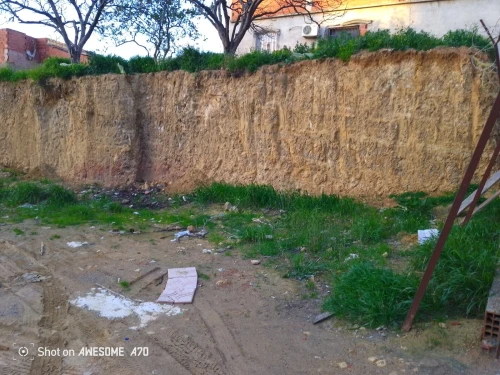Vente Terrain Tipaza Kolea