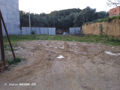 Vente Terrain Tipaza Kolea