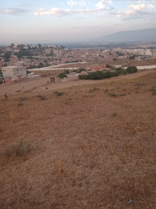 Vente Terrain Blida El affroun