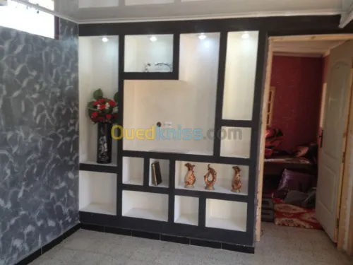 construction-décoration/BA13/PVC/MDF 