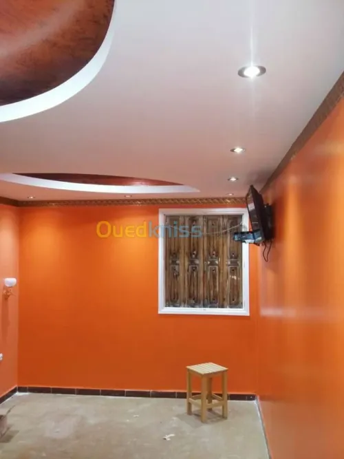 construction-décoration/BA13/PVC/MDF 