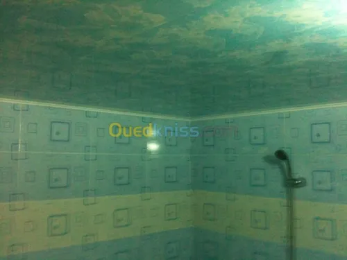 construction-décoration/BA13/PVC/MDF 