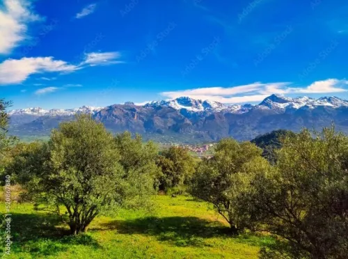Vente Terrain Tizi Ouzou Tizi ouzou