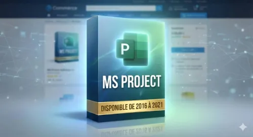 ms Project