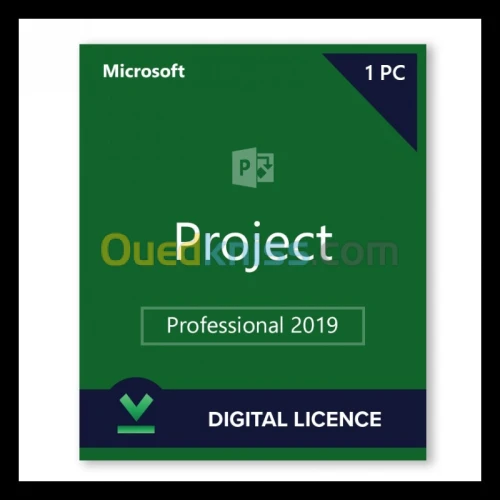 ms project 2019 *ORIGINAL*