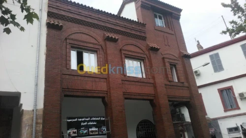 béton projeté / réhabilitation bati