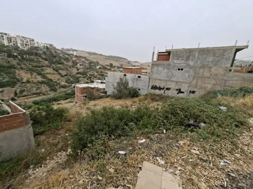 Vente Terrain Tipaza Cherchell