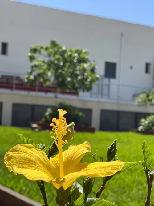 Location vacances Villa Oran Oran