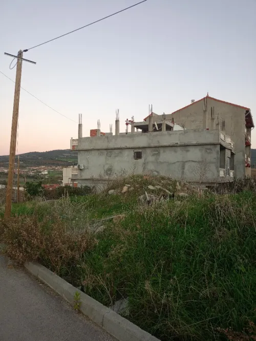Vente Terrain Guelma Guellat bou dbaa