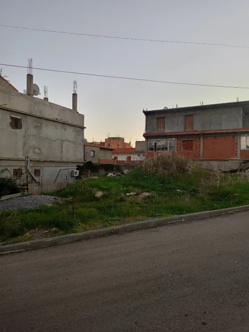 Vente Terrain Guelma Guellat bou dbaa