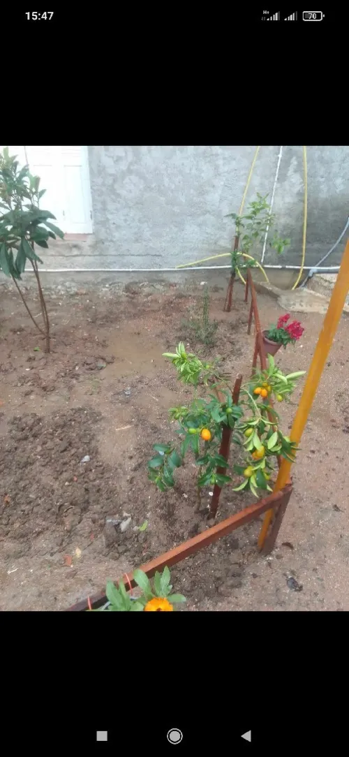 Vente Villa Boumerdès Corso