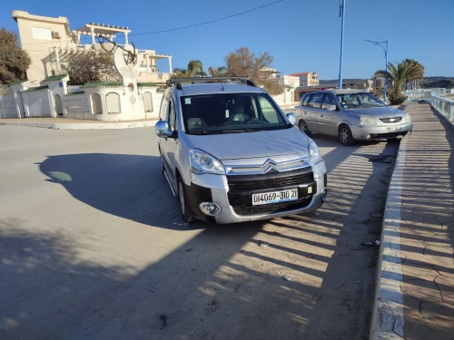 Citroen Berlingo 2010 Berlingo