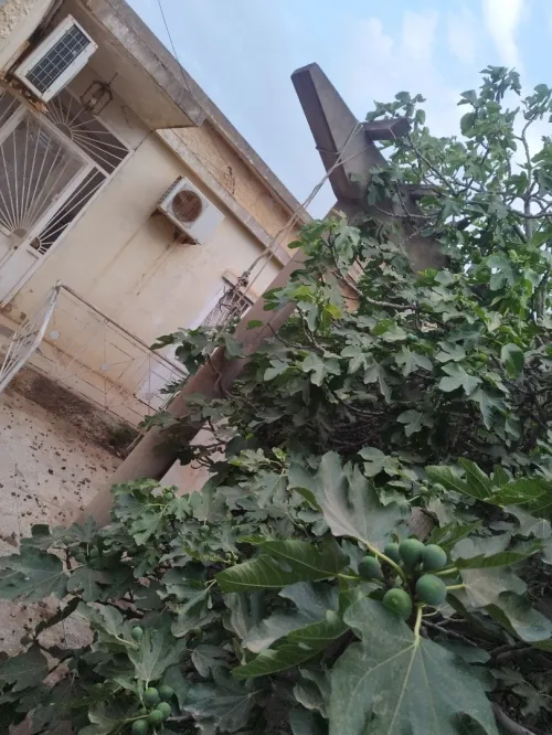 Vente Villa Oran Es senia