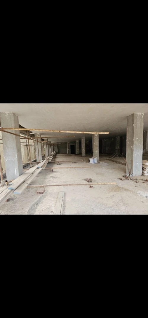 Location Local Tipaza Kolea