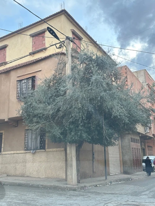 Vente Villa Relizane Oued rhiou