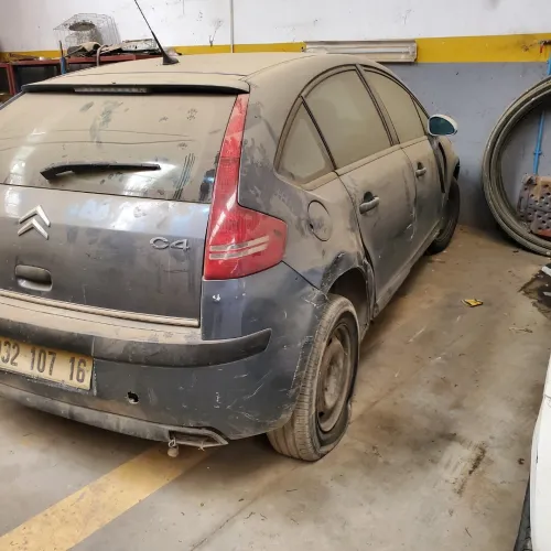 Citroen C4 2007 Vitamine