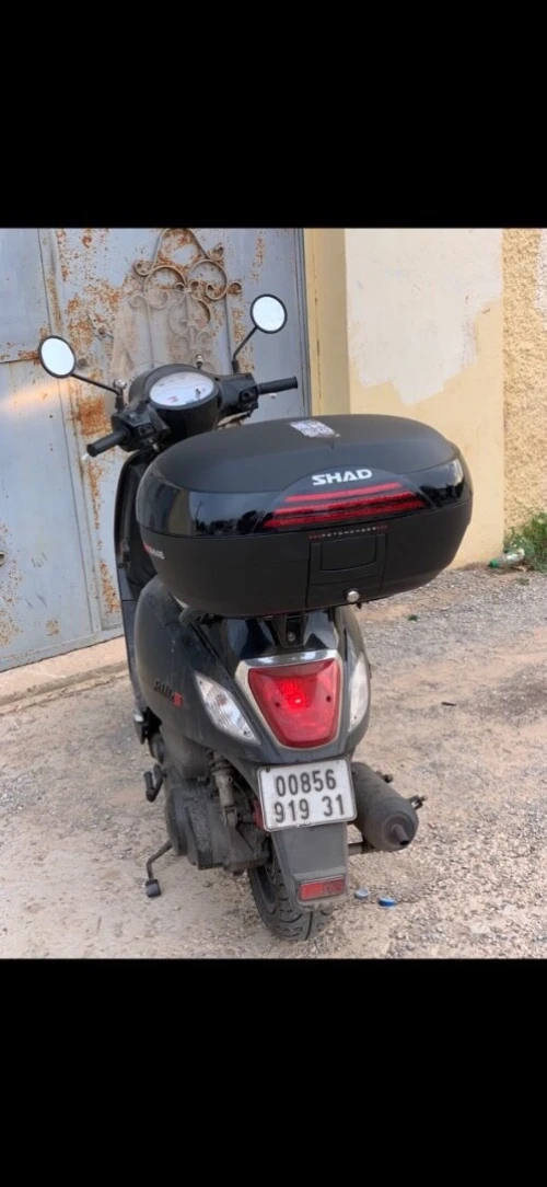 Sym Fiddle 3 2019