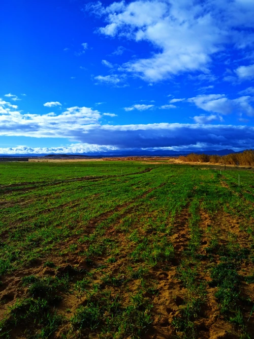 Vente Terrain Msila El houamed