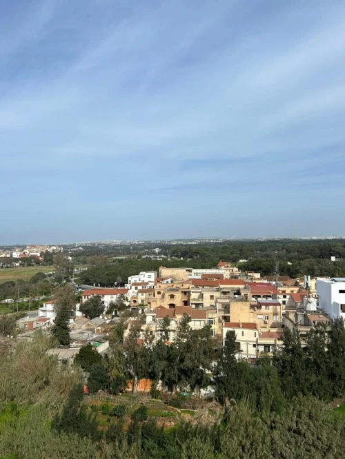 Vente Appartement F3 Alger Zeralda