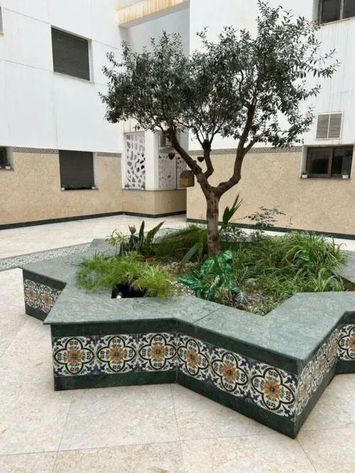 Vente Appartement F3 Alger Zeralda