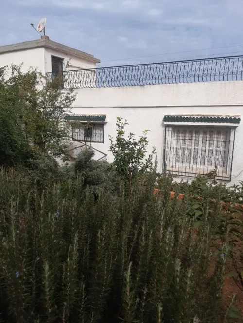 Vente Villa Alger El biar