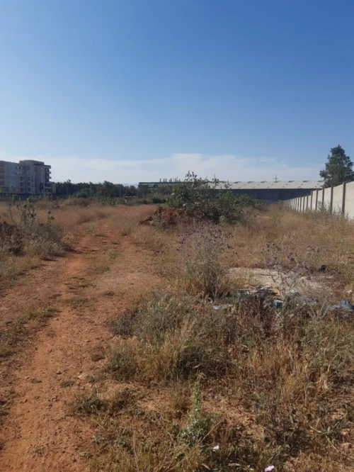 Location Terrain Tipaza Bou ismail