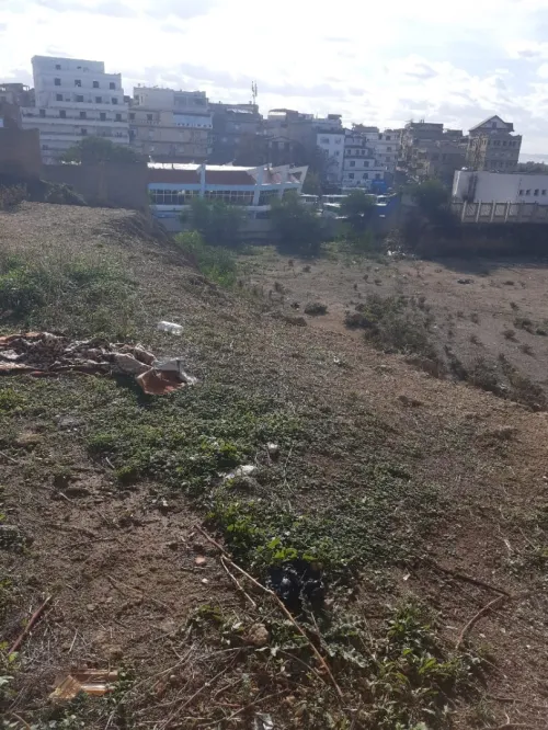 Vente Terrain Alger Zeralda