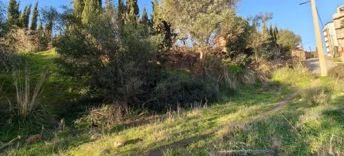 Vente Terrain Boumerdès Zemmouri