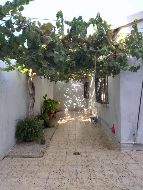 Vente Appartement F3 Sidi Bel Abbès Hassi zehana